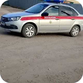 🚗