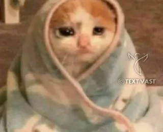 🥺