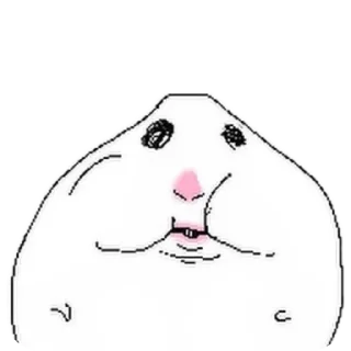 Hamster @qwlinad