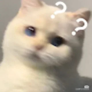 🤔