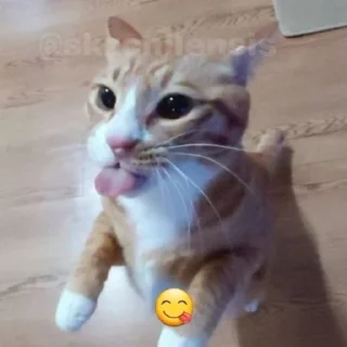 ❤️