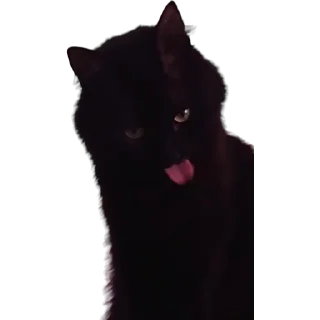 😋