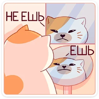 🍽