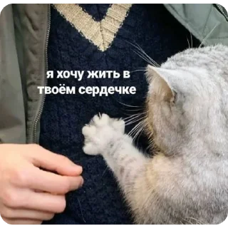❤️