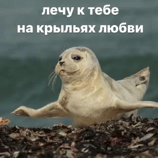 😇