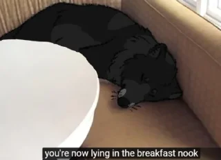 😴