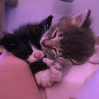 💜