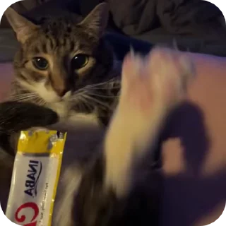 📥