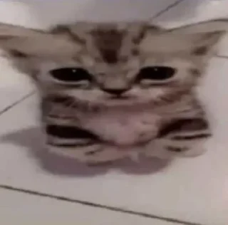 🧍‍♀️