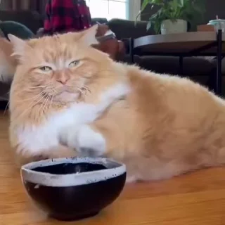😒