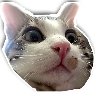 😗