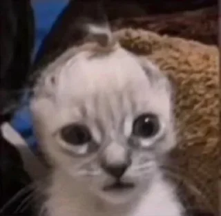 😦