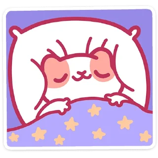 😴