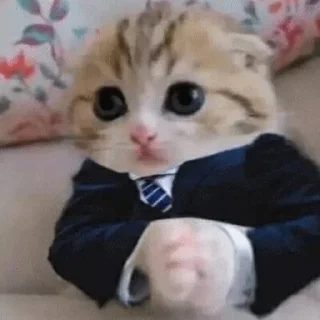 🤵‍♂️