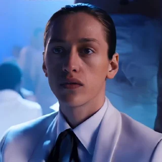 🕷️
