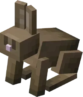 🐰