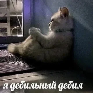 🤕