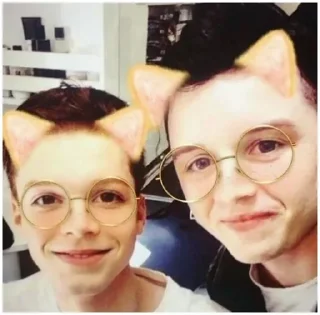 🐱