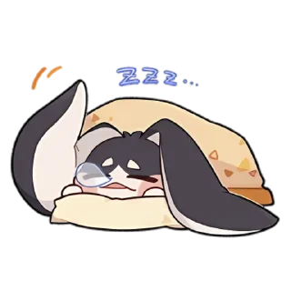 💤