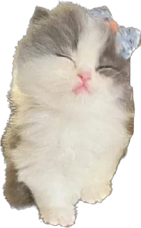 ☺️
