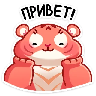 👋