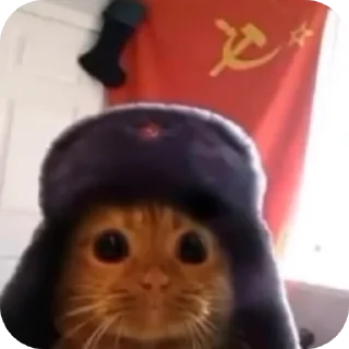 ❤