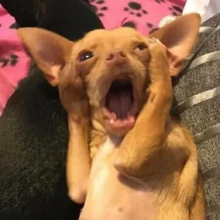 🤭