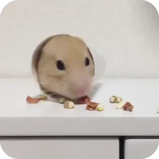 🌟