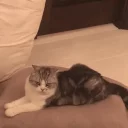 🙄