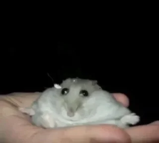 🫠
