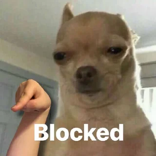 🚫