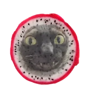 🫓