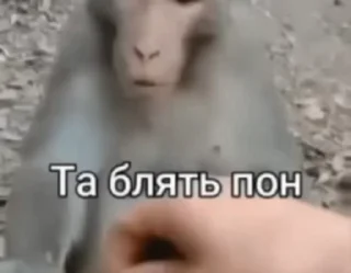😔