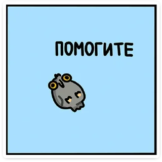 🦉
