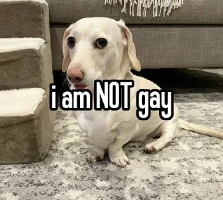 ⛔️