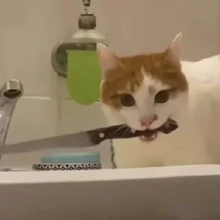 😡