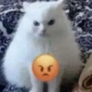 😡