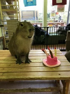 🥳