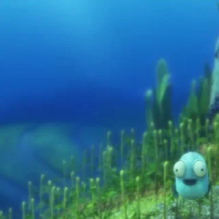 👀