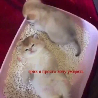 😵