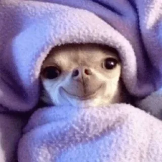 🙂
