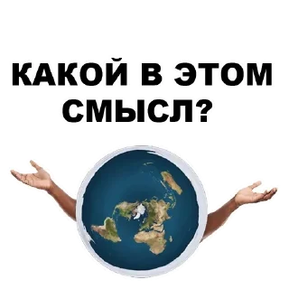 🌏