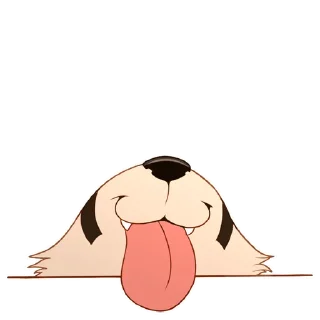 🦊