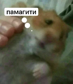 🆘