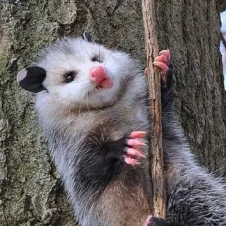 😛