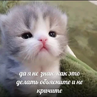 🥺