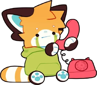 📞