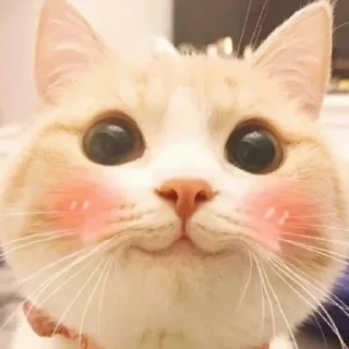 🥰