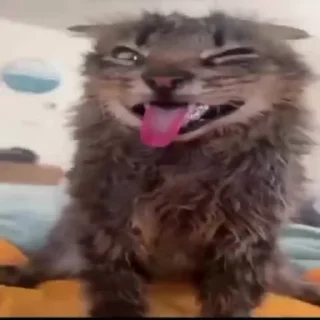 😛