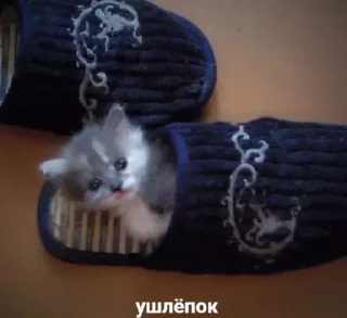 🍮